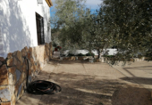 Casa de camp amb terreny en venda a la España, Montoro, ref.: TR137334 foto