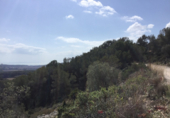 Non-developable land for sale on España, Sant Pere de Ribes, ref: TR117467 photo