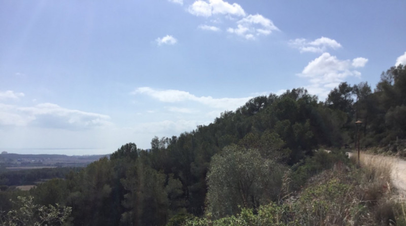 Barcelona - Sant Pere de Ribes - 4799m2