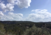 Non-developable land for sale on España, Sant Pere de Ribes, ref: TR117467 photo