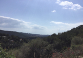 Non-developable land for sale on España, Sant Pere de Ribes, ref: TR117467 photo