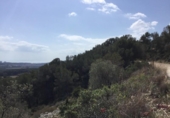Non-developable land for sale on España, Sant Pere de Ribes, ref: TR117467 photo