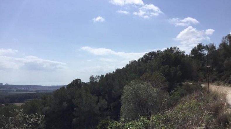 Barcelona - Sant Pere de Ribes - 4799m2