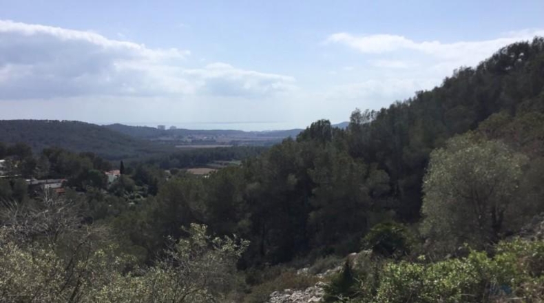 Barcelona - Sant Pere de Ribes - 4799m2