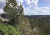 Non-developable land for sale on España, Sant Pere de Ribes, ref: TR117467 photo