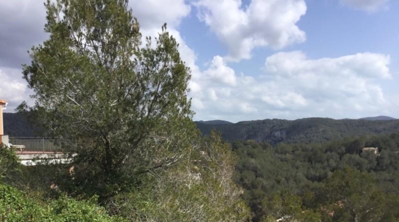 Barcelona - Sant Pere de Ribes - 4799m2