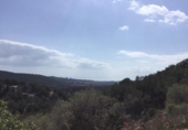 Non-developable land for sale on España, Sant Pere de Ribes, ref: TR117467 photo