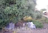 Sòl urbà en venda a la España, Borriana, ref.: TR123274 foto