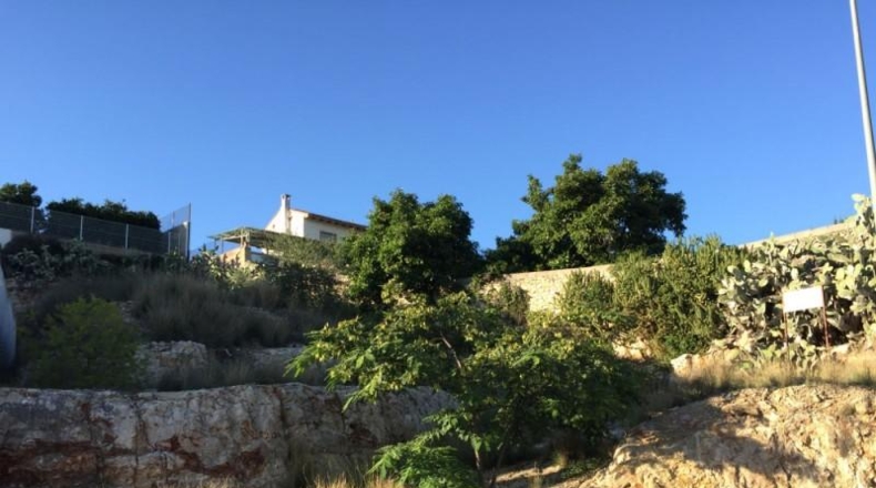 València - Alcira - 663m2