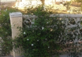 Xalet independent amb terreny en venda a la España, Callosa de Segura, ref.: TR134643 foto