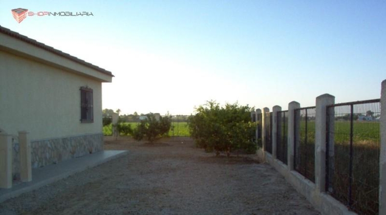 Alicante - Callosa de Segura - 1000m2