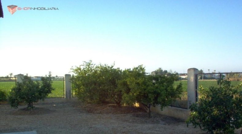 Alicante - Callosa de Segura - 1000m2