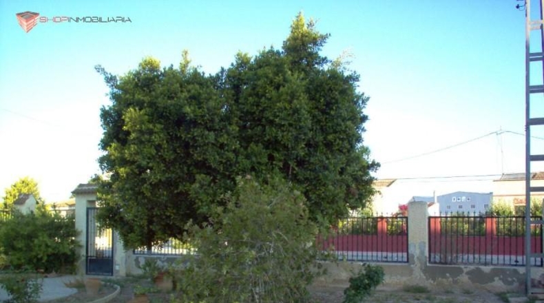 Alicante - Callosa de Segura - 1000m2
