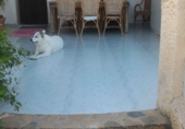 Xalet independent amb terreny en venda a la España, Callosa de Segura, ref.: TR134643 foto