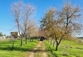 Chalet independiente con terreno en venta en la España, Pozoblanco, ref: TR367666 foto