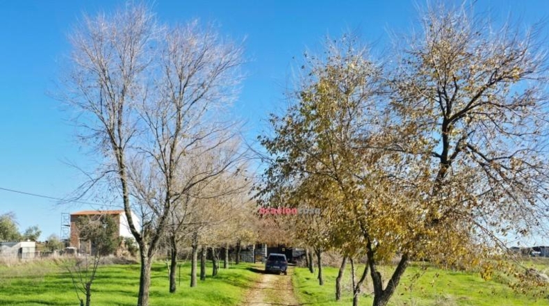 Córdoba - Pozoblanco - 21000m2