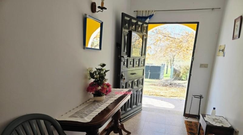 Córdoba - Pozoblanco - 21000m2