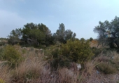 Sòl urbà en venda a la España, Cambrils, ref.: TR128980 foto