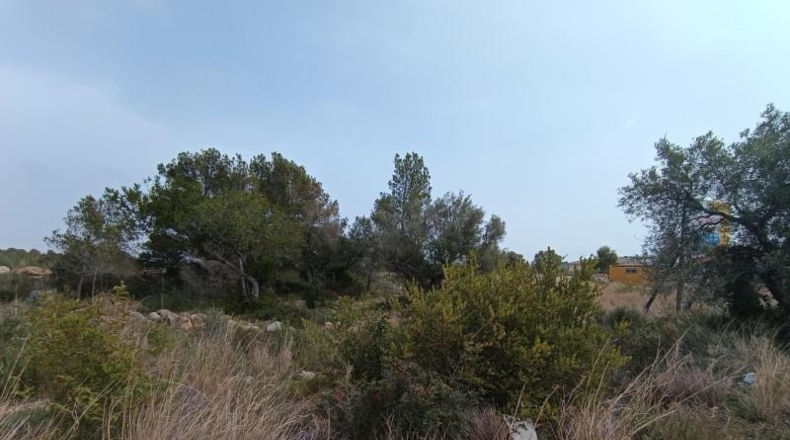 Tarragona - Vandellòs - 633m2