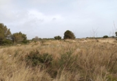 Sòl urbà en venda a la España, Cambrils, ref.: TR128980 foto