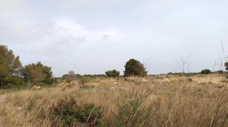 Tarragona - Vandellòs - 633m2