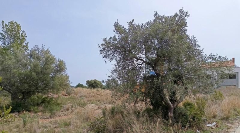 Tarragona - Vandellòs - 633m2