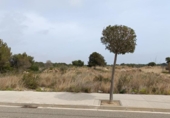 Sòl urbà en venda a la España, Cambrils, ref.: TR128980 foto