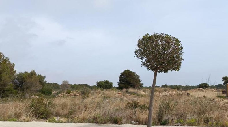 Tarragona - Vandellòs - 633m2