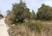Sòl urbà en venda a la España, Cambrils, ref.: TR128980 foto