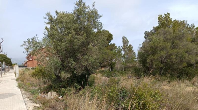 Tarragona - Vandellòs - 633m2