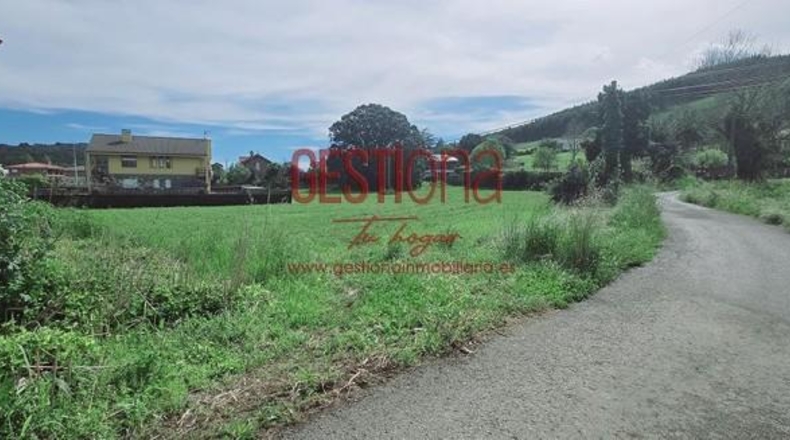 Cantabria - Palacio - 3617m2