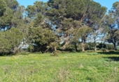 Terreny no urbanitzable en venda a la España, Chiclana de la Frontera, ref.: TR218244 foto