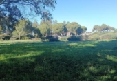 Terreny no urbanitzable en venda a la España, Chiclana de la Frontera, ref.: TR218244 foto