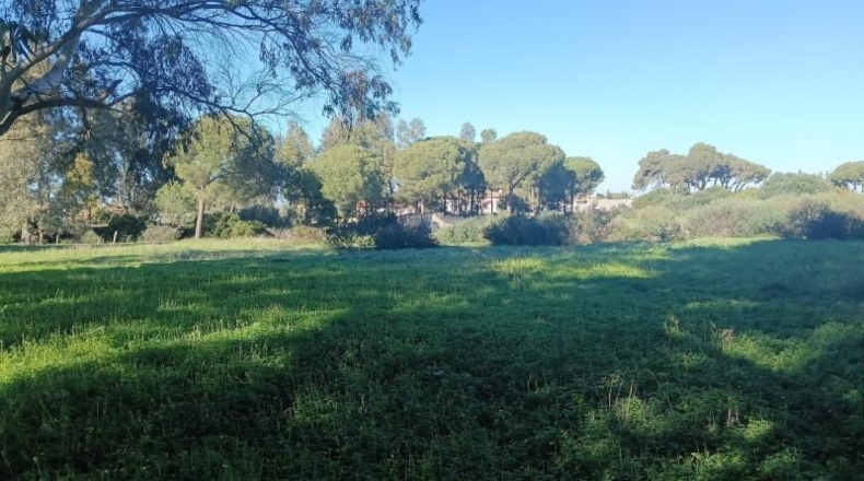 Cádiz - Chiclana de la Frontera - 4462m2