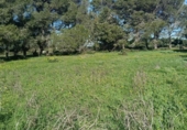 Terreny no urbanitzable en venda a la España, Chiclana de la Frontera, ref.: TR218244 foto