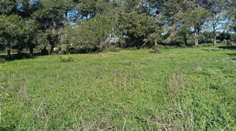 Cádiz - Chiclana de la Frontera - 4462m2