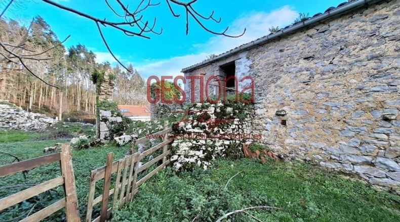 Cantabria - Solórzano - 12280m2