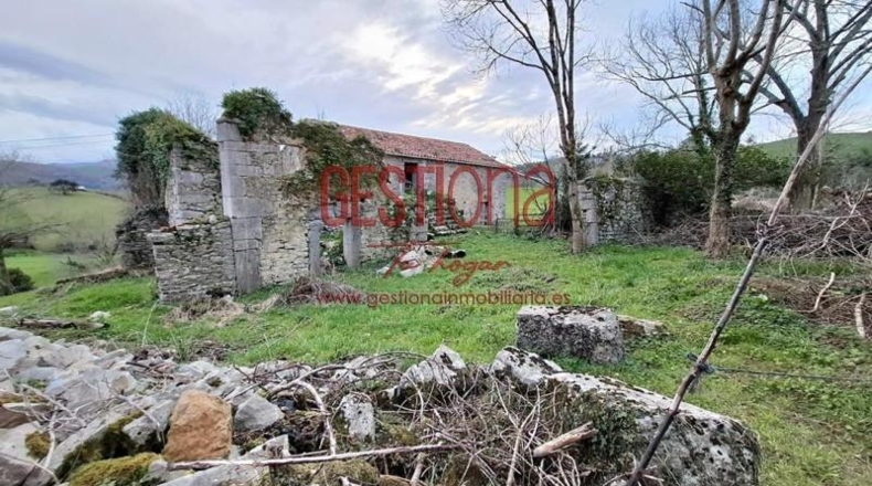 Cantabria - Solórzano - 12280m2