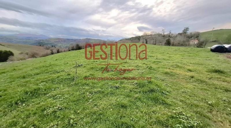 Cantabria - Solórzano - 12280m2