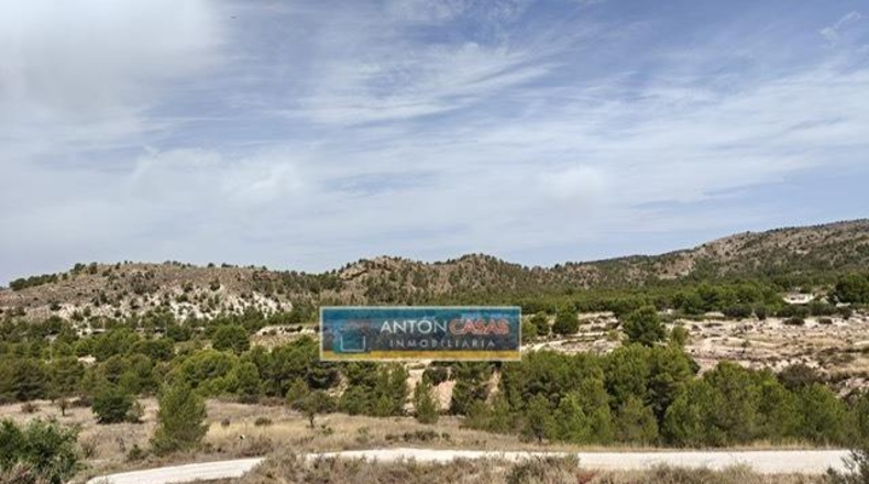 Alicante - Petrer - 150m2