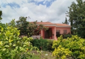 Detached villa with land for sale on España, Pedralba, ref: TR280847 photo
