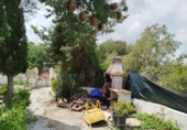 Detached villa with land for sale on España, Pedralba, ref: TR280847 photo