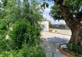 Detached villa with land for sale on España, Pedralba, ref: TR280847 photo