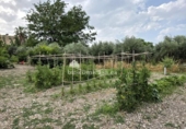 Xalet independent amb terreny en venda a la España, Jaén, ref.: TR264893 foto