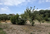 Xalet independent amb terreny en venda a la España, Jaén, ref.: TR264893 foto