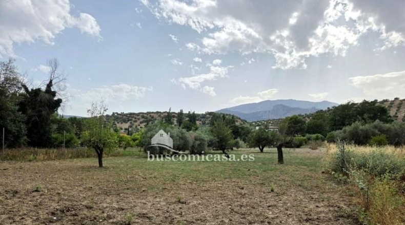 Jaén - Jaén - 3649m2