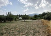 Xalet independent amb terreny en venda a la España, Jaén, ref.: TR264893 foto