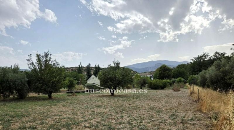 Jaén - Jaén - 3649m2