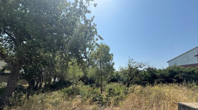 Gerona - Roses - 444m2