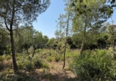 Urban land for sale on España, Roses, ref: TR244671 photo